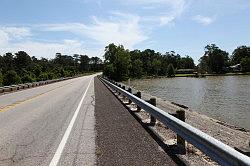 Sam Houston National forest